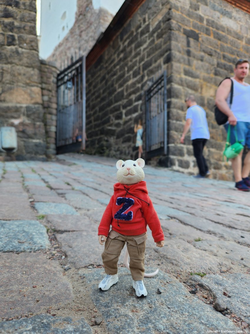 Мышь лабораторная. Выборг (фото 8)