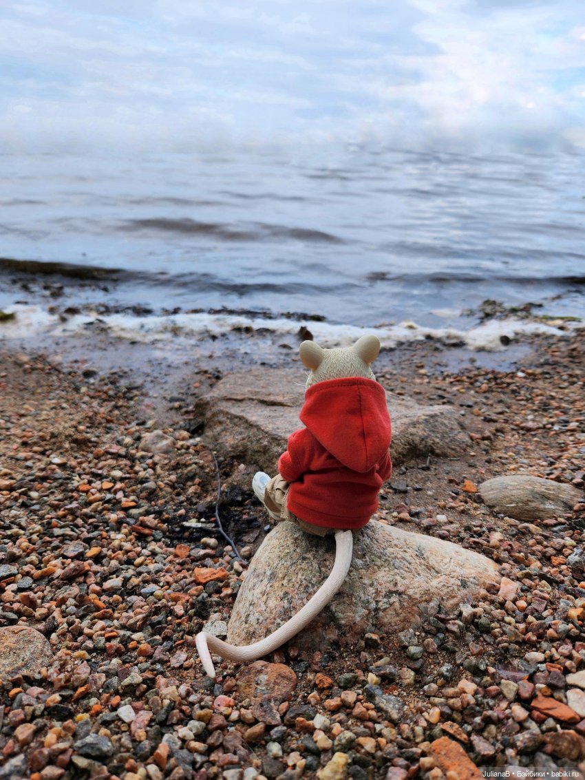 Мышь лабораторная. Выборг (фото 2)