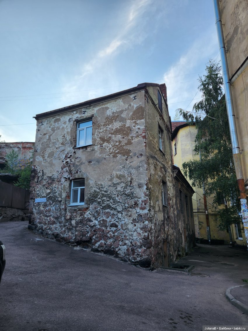 Мышь лабораторная. Выборг (фото 10)