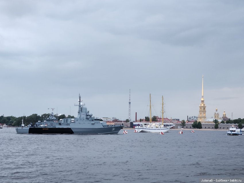 Мышь лабораторная. Выборг