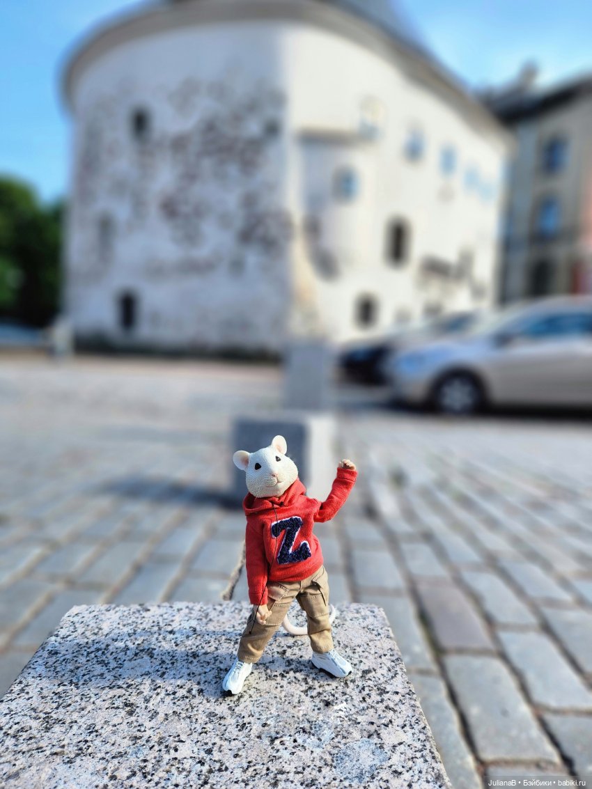 Мышь лабораторная. Выборг