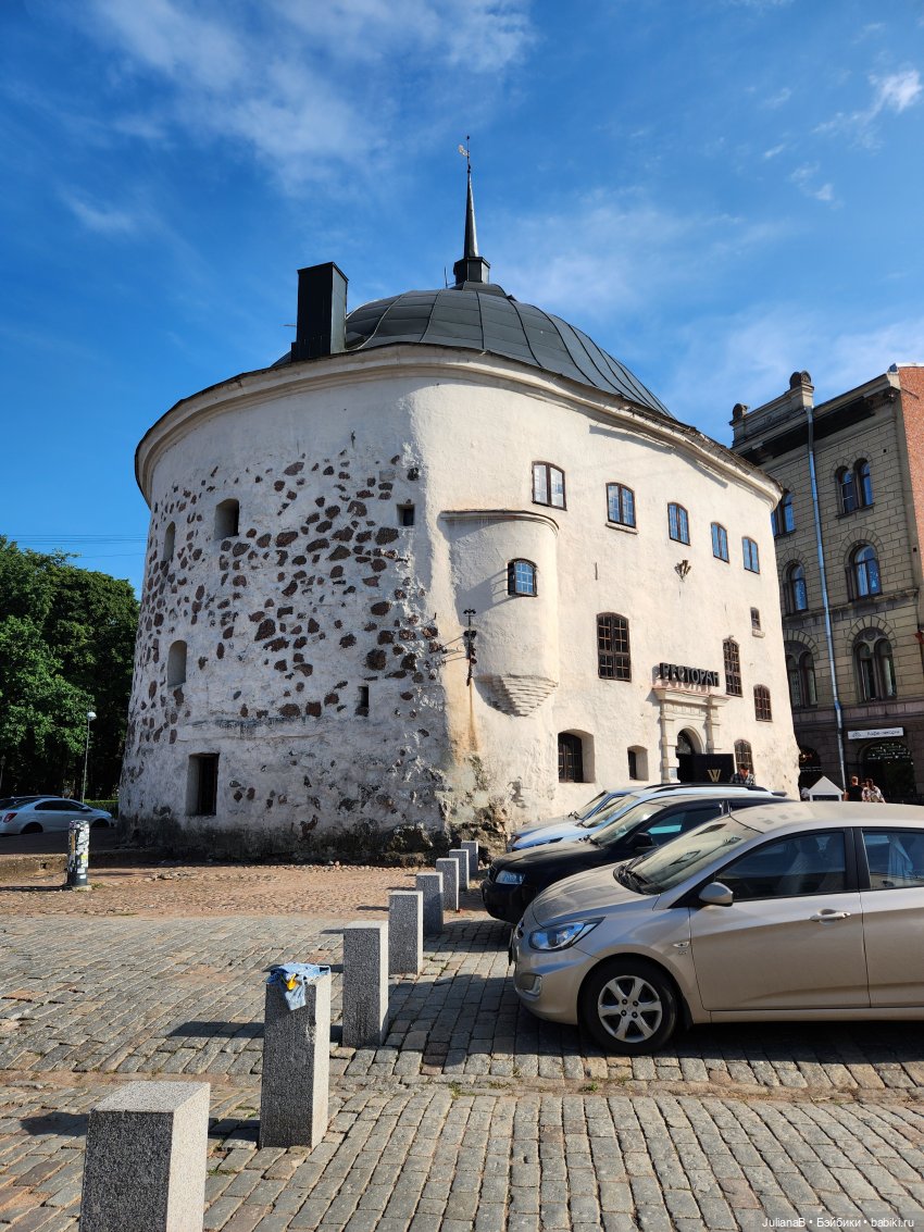 Мышь лабораторная. Выборг