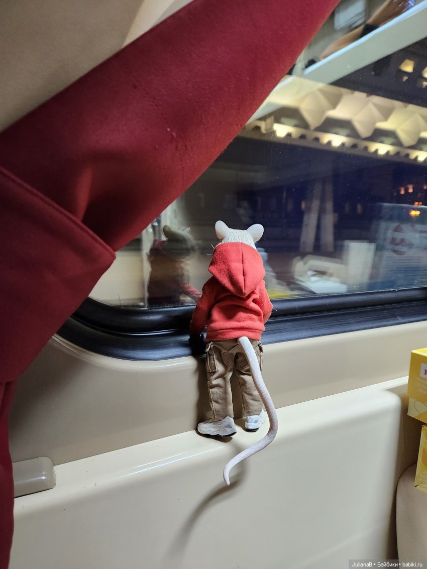 Мышь лабораторная. Выборг