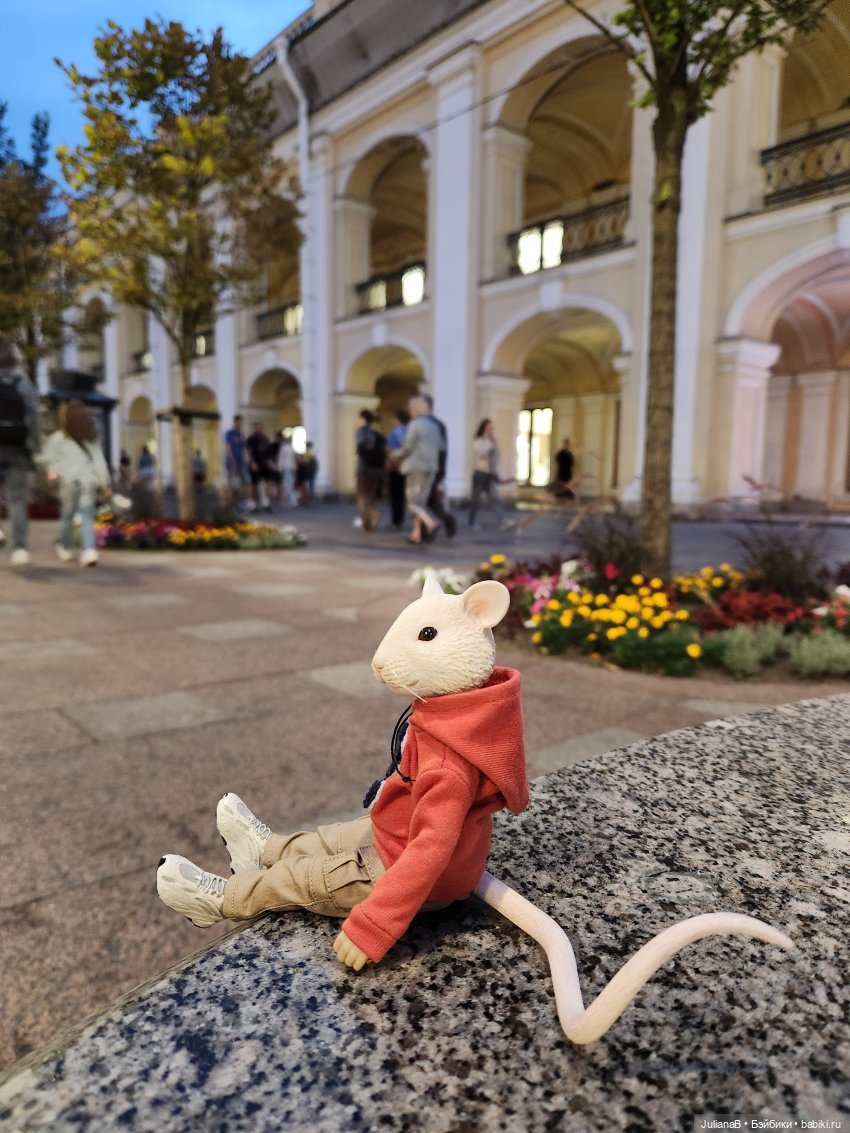 Мышь лабораторная. Выборг