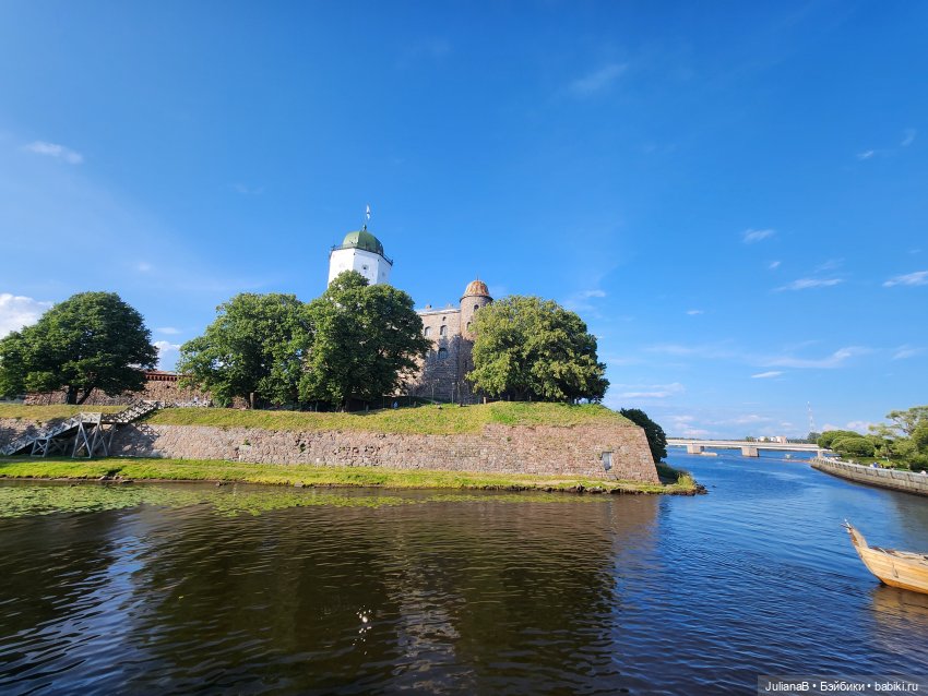 Мышь лабораторная. Выборг (фото 4)