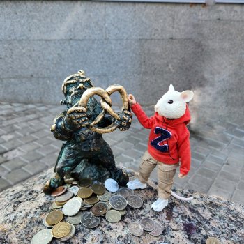 Мышь лабораторная. Выборг