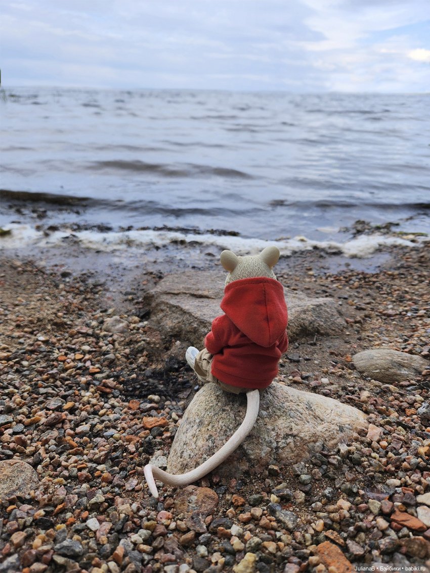 Мышь лабораторная. Как я провёл лето (фото 8)