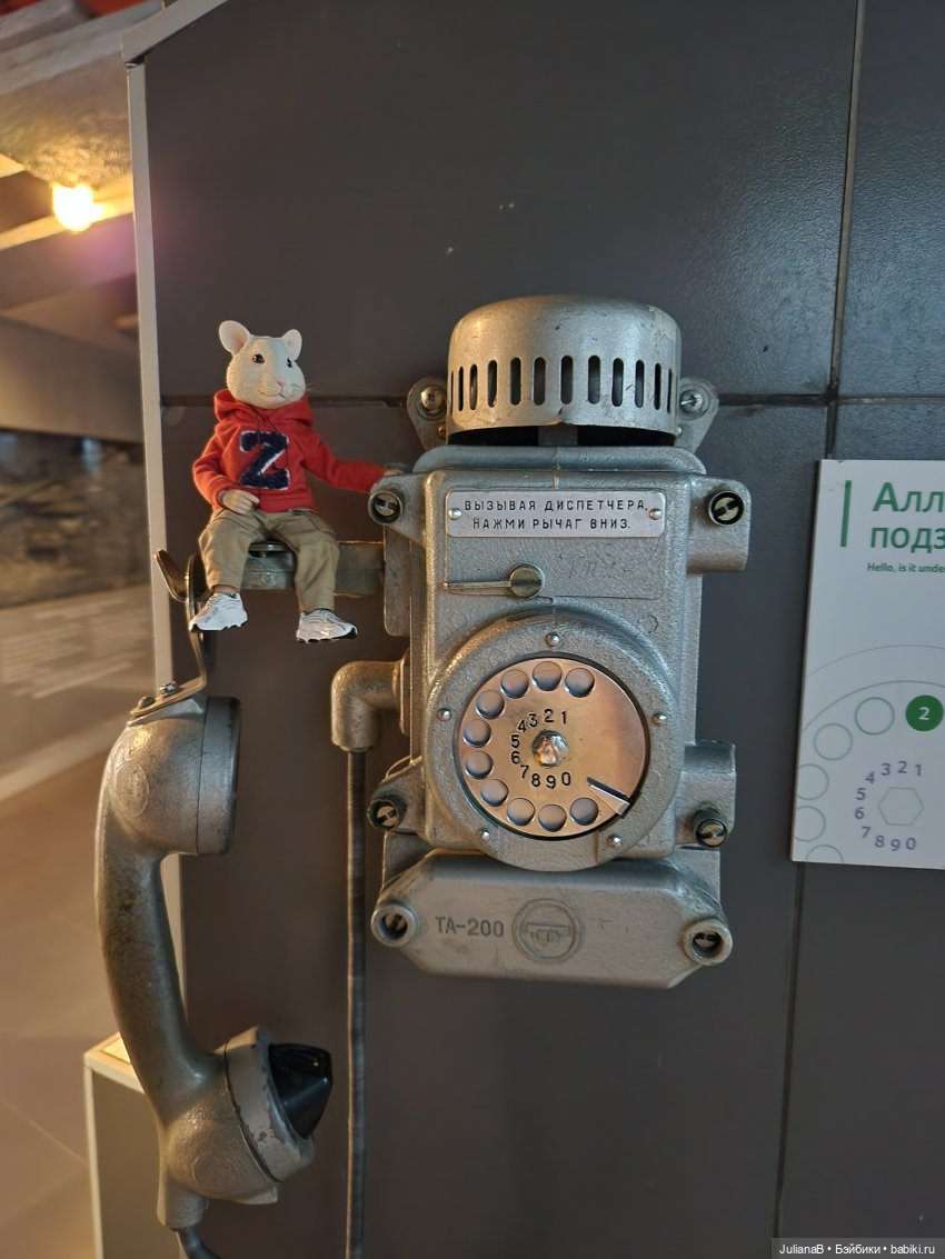 Мышь лабораторная. Как я провёл лето