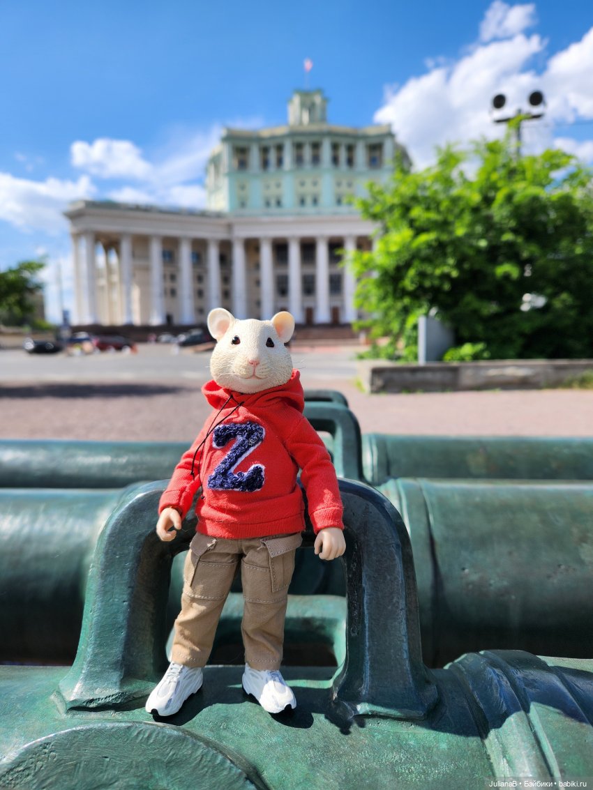 Мышь лабораторная. Как я провёл лето (фото 4)