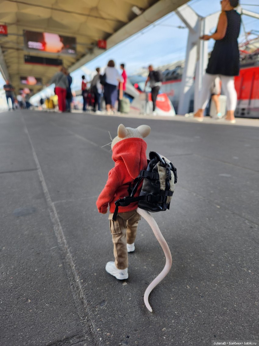 Мышь лабораторная. Как я провёл лето