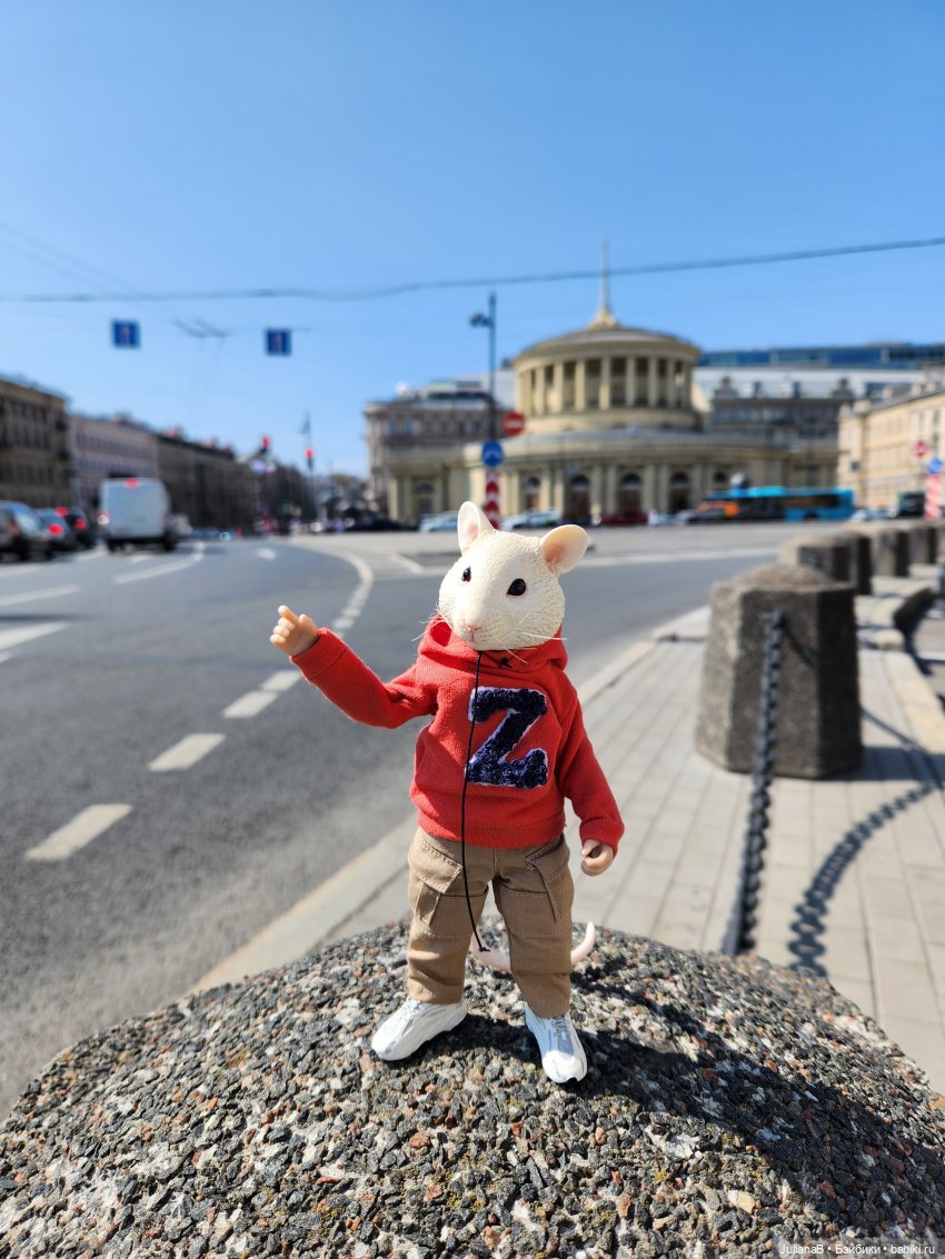 Мышь лабораторная. Как я провёл лето (фото 9)