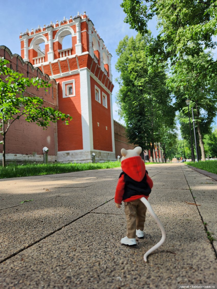 Мышь лабораторная. Как я провёл лето (фото 3)