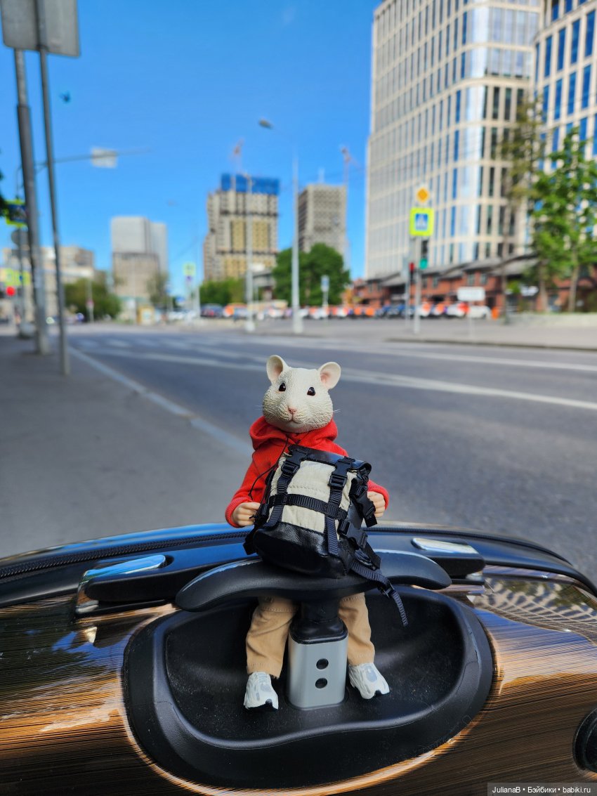 Мышь лабораторная. Как я провёл лето