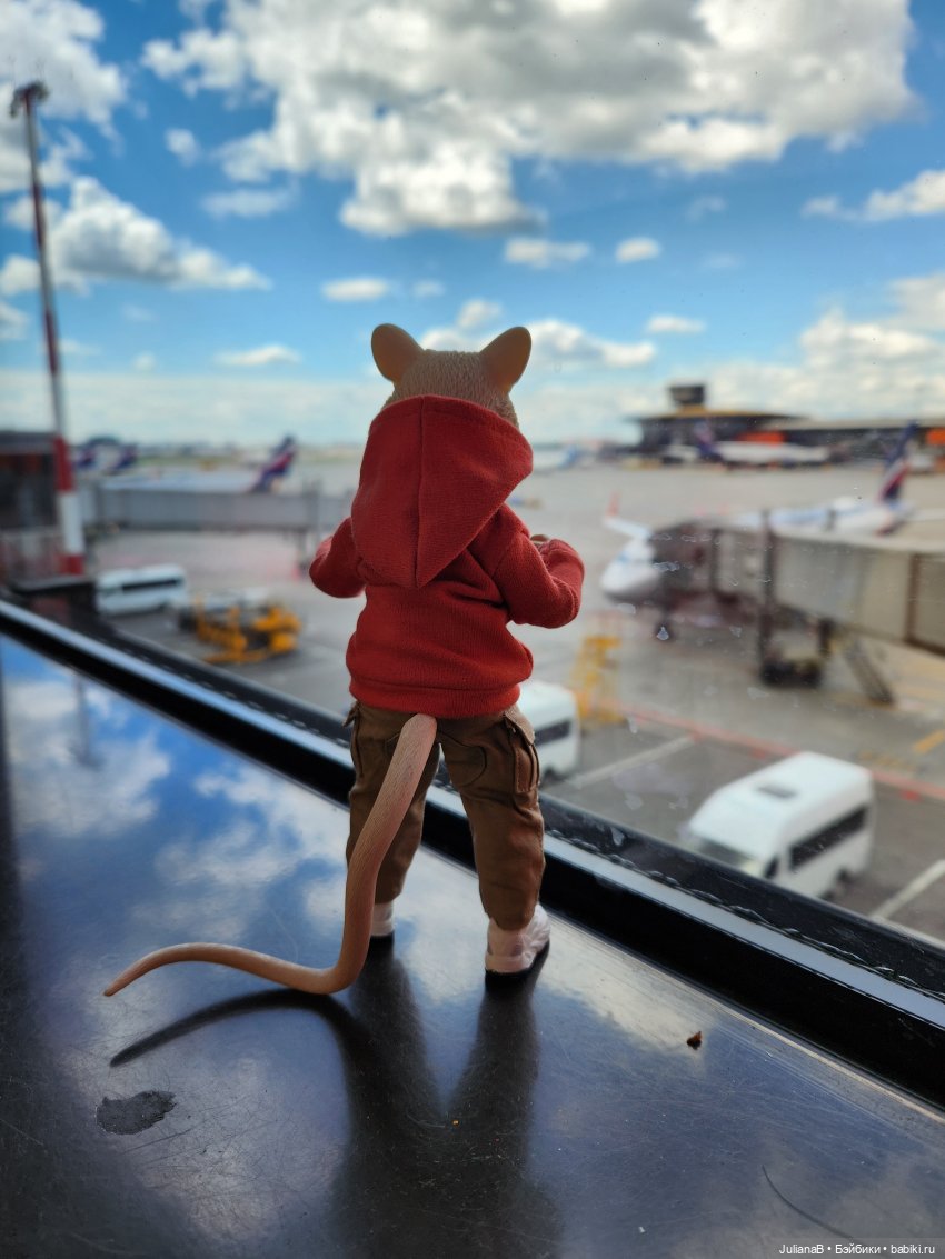 Мышь лабораторная. Как я провёл лето