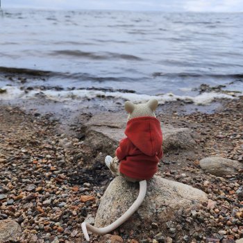 Мышь лабораторная. Как я провёл лето