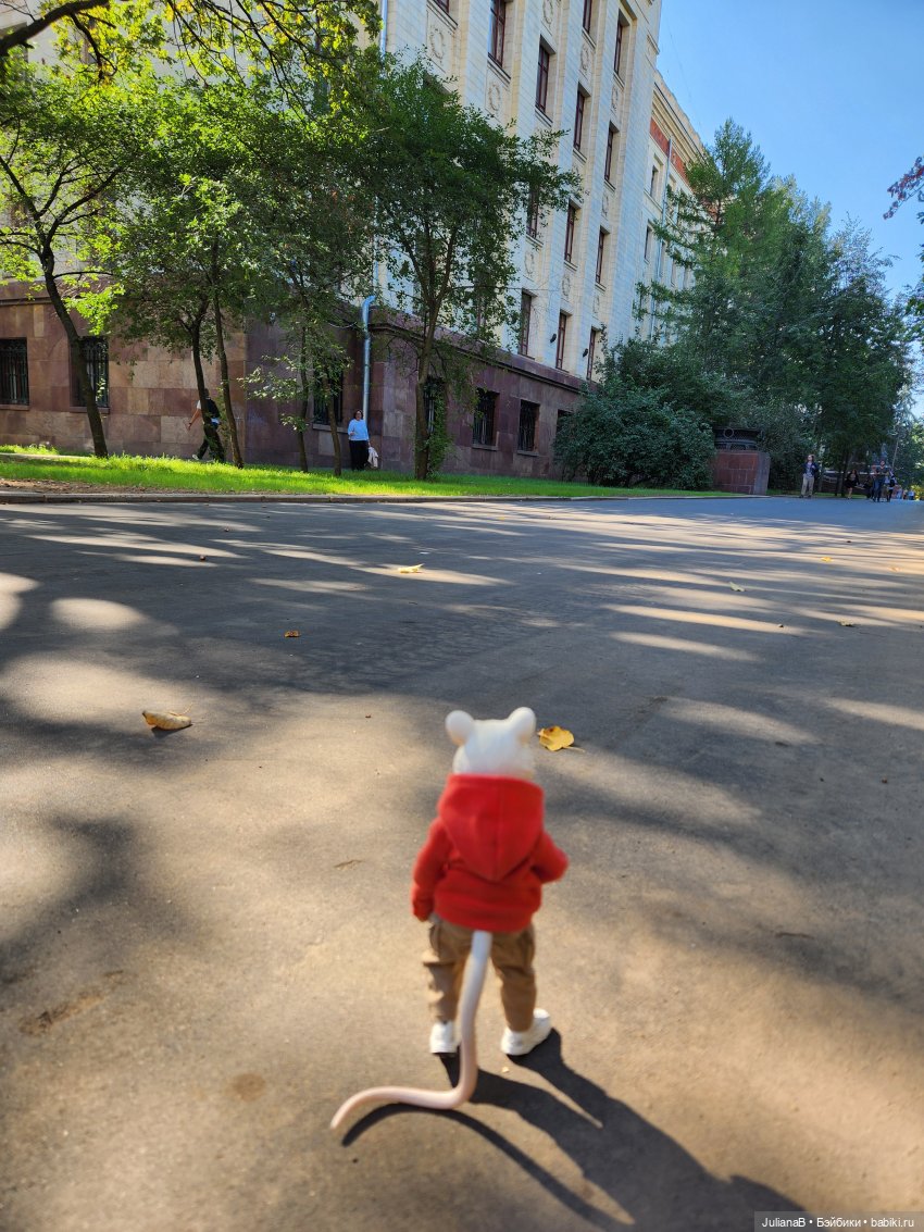 Мышь лабораторная. С началом учебного года (фото 2)