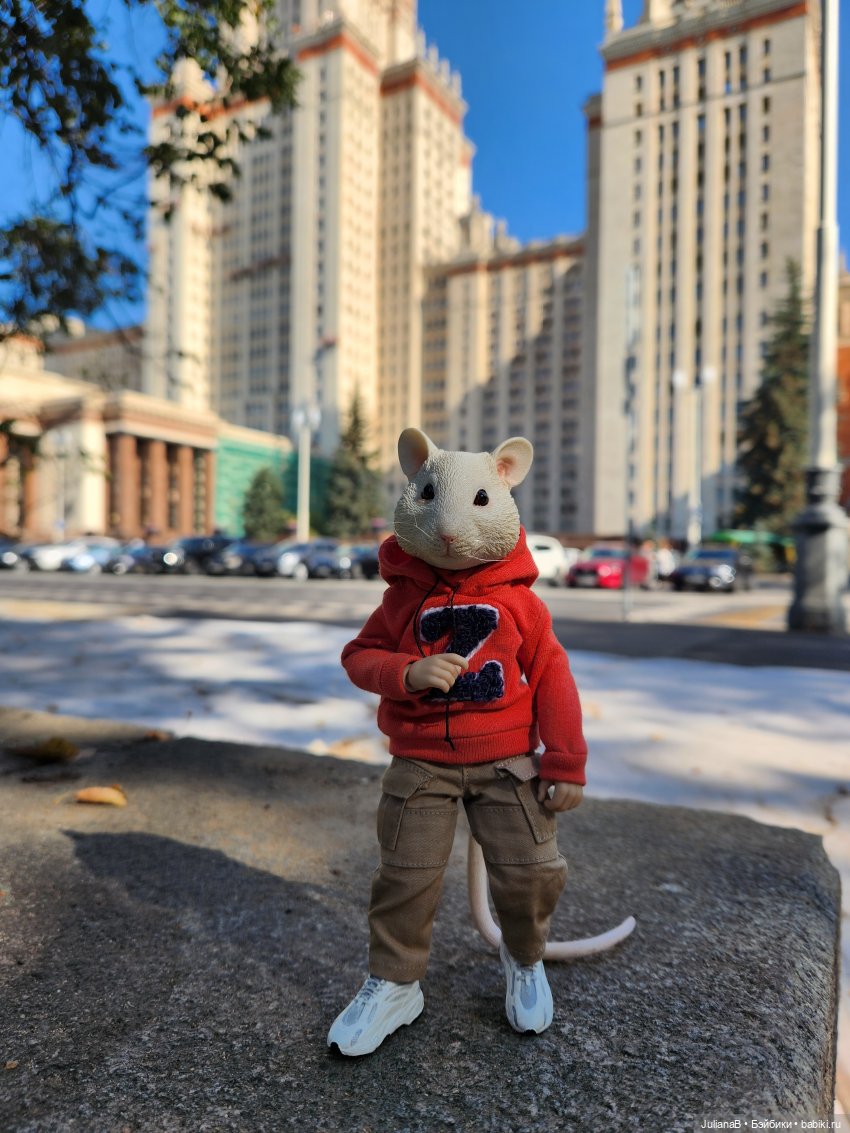 Мышь лабораторная. С началом учебного года (фото 10)