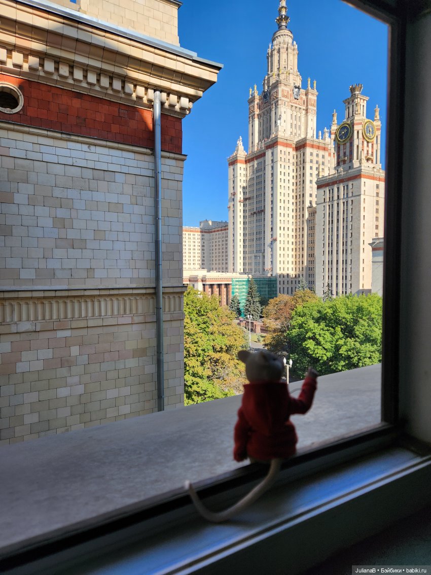 Мышь лабораторная. С началом учебного года (фото 9)