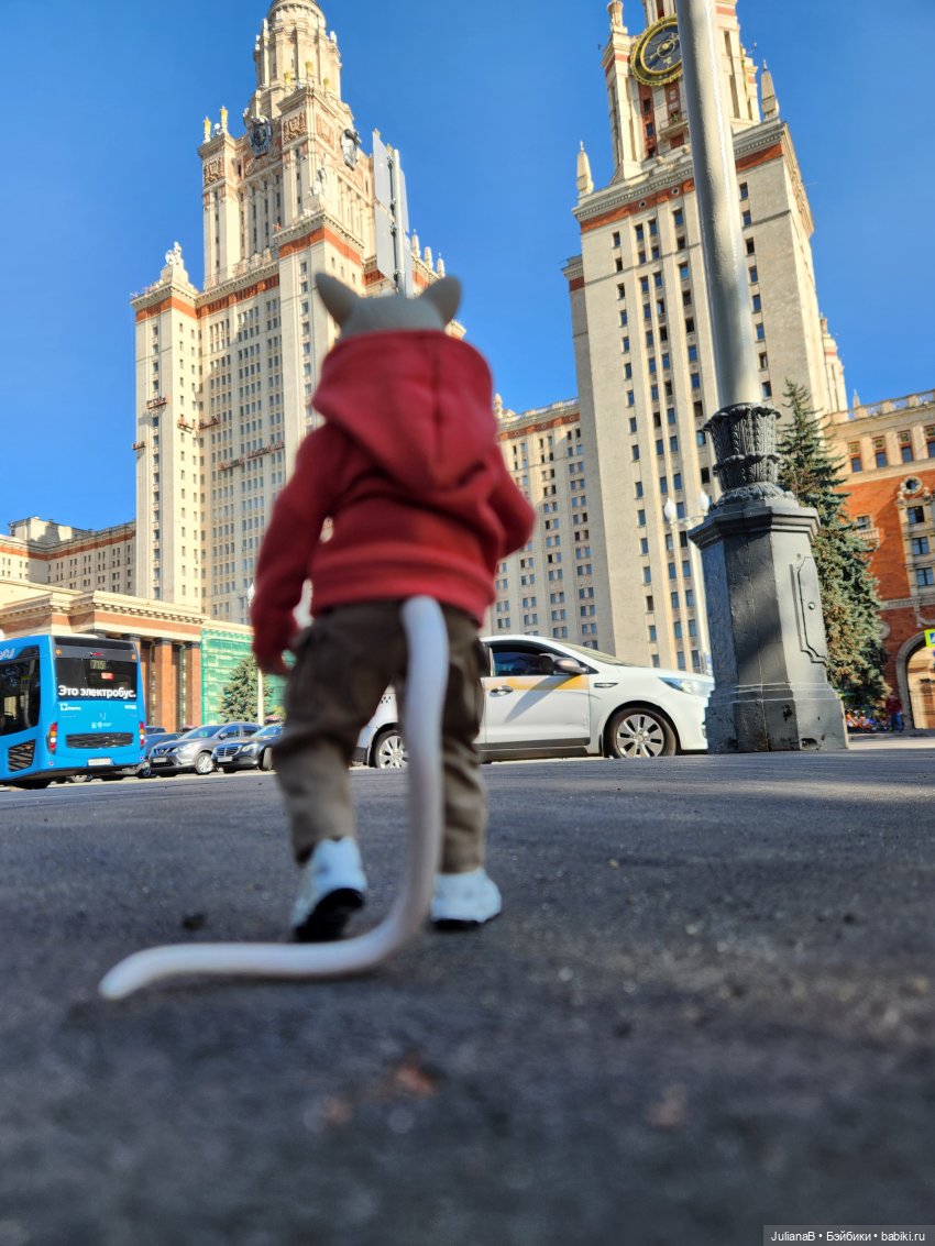 Мышь лабораторная. С началом учебного года