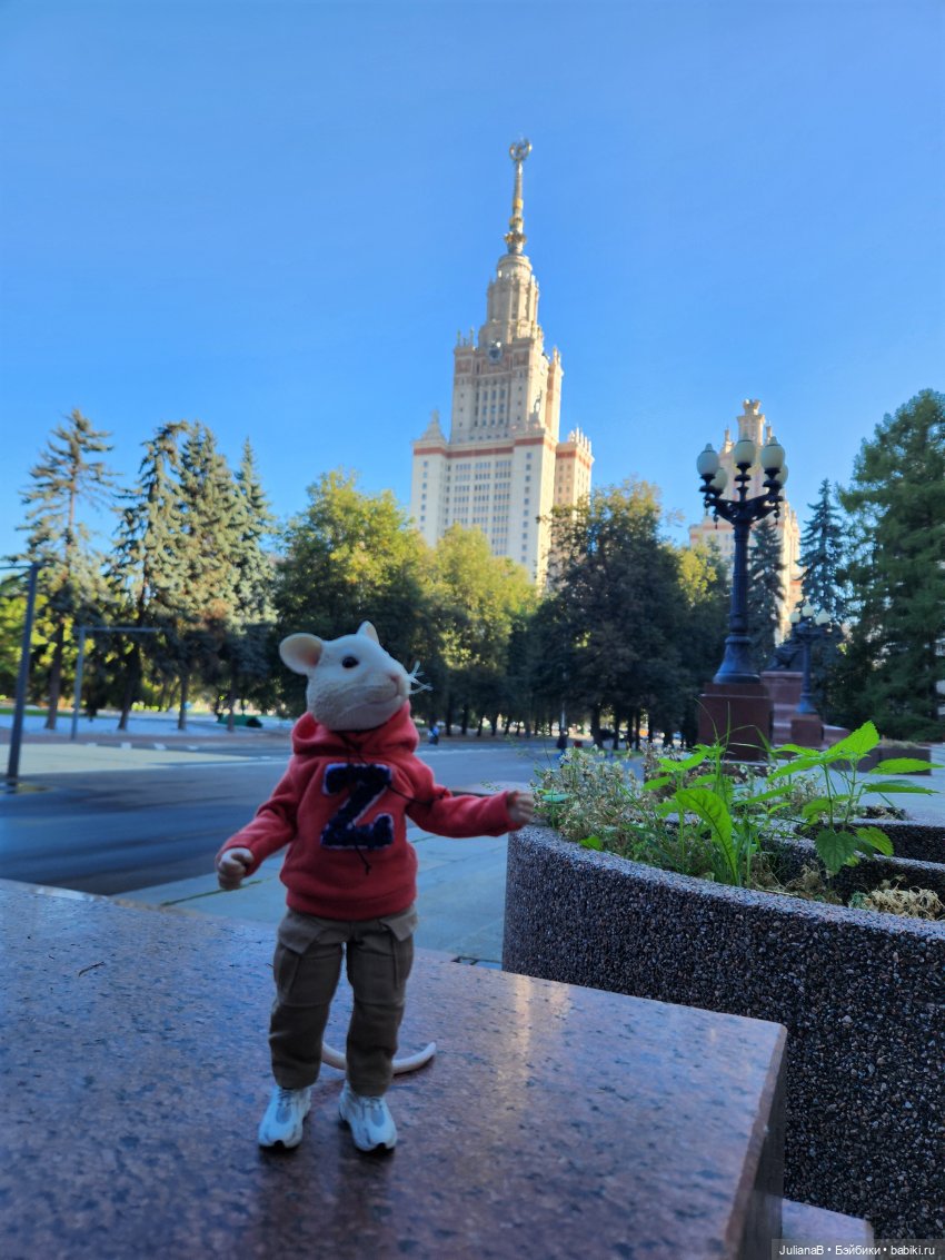 Мышь лабораторная. С началом учебного года