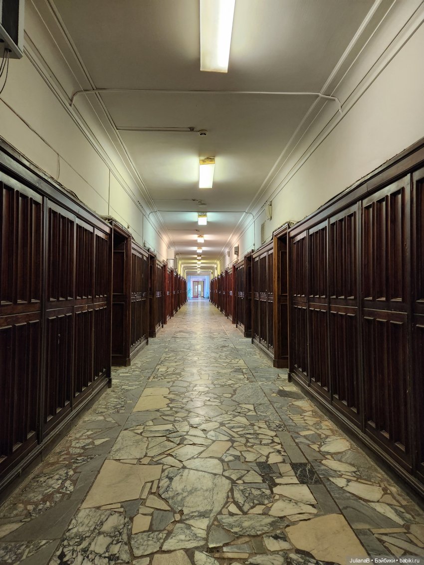 Мышь лабораторная. С началом учебного года (фото 6)