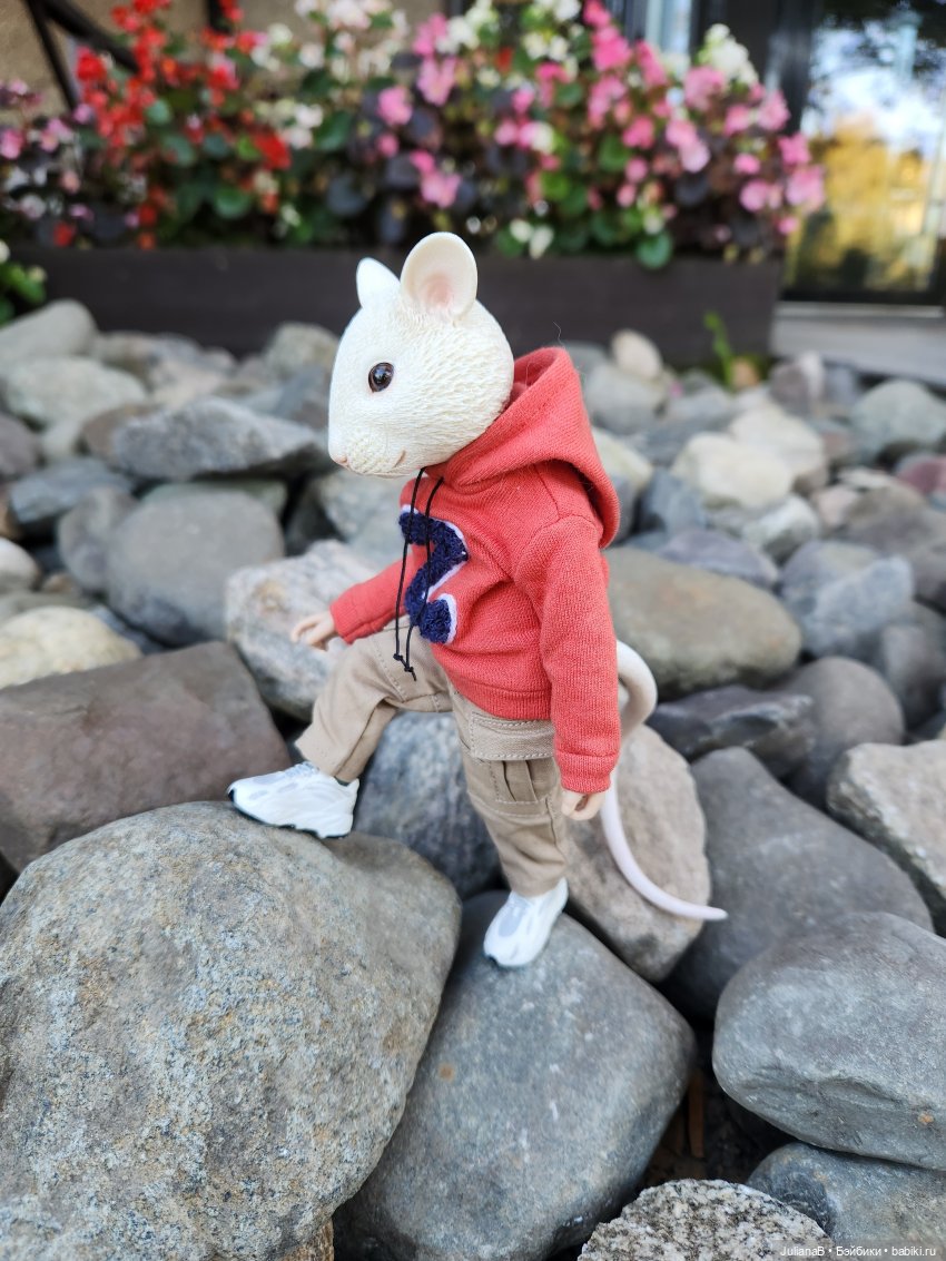 Мышь лабораторная. Карелия (фото 9)