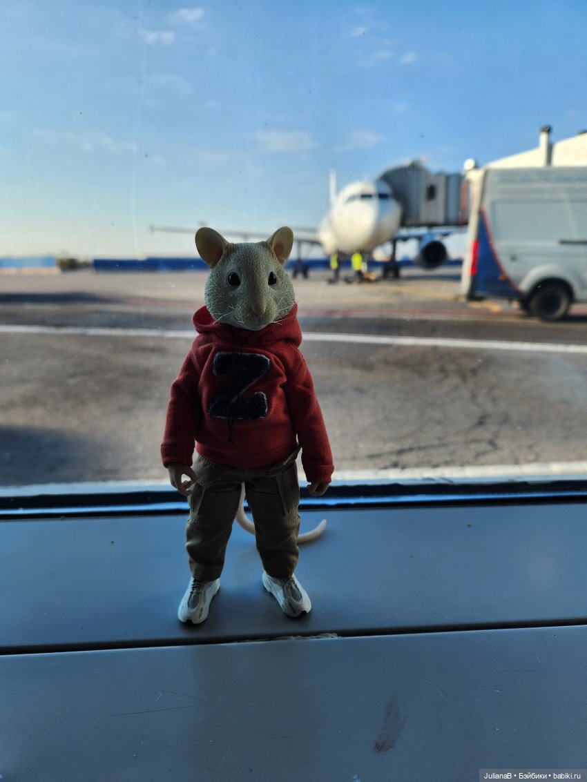 Мышь лабораторная. Карелия (фото 5)