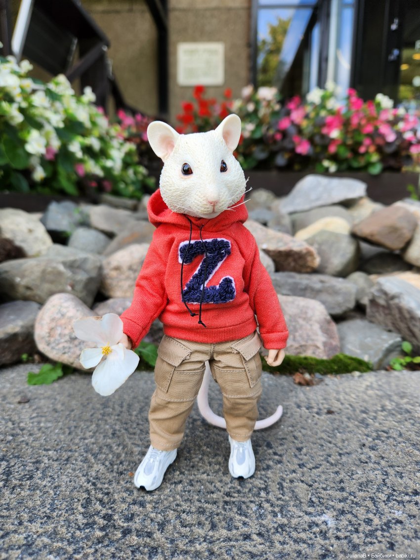 Мышь лабораторная. Карелия