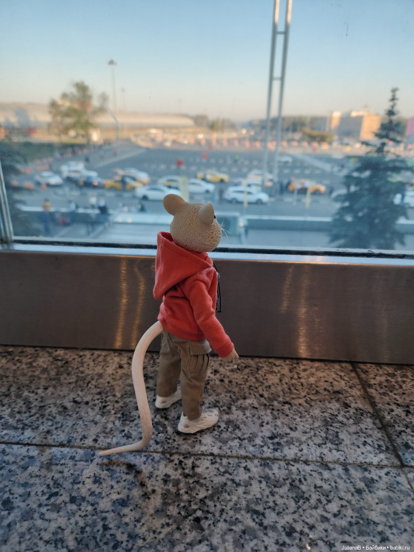 Мышь лабораторная. Карелия (фото 3)