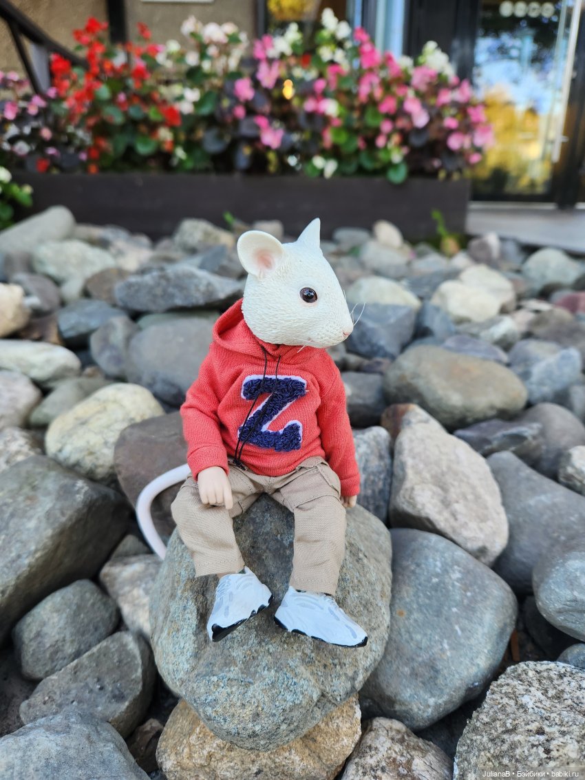 Мышь лабораторная. Карелия (фото 10)