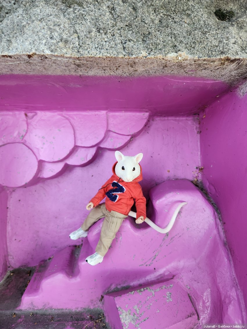 Мышь лабораторная. Карелия (фото 7)