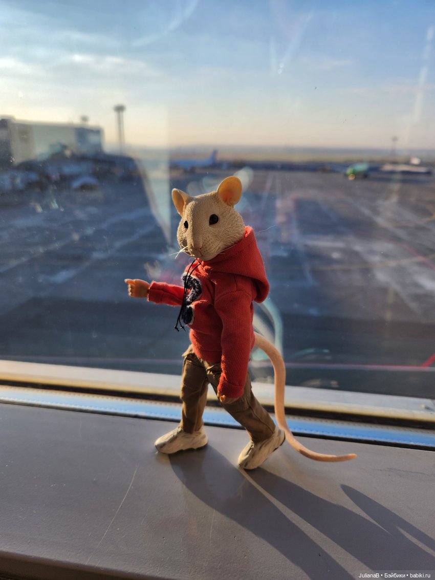 Мышь лабораторная. Карелия (фото 4)