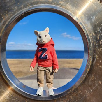 Мышь лабораторная. Карелия