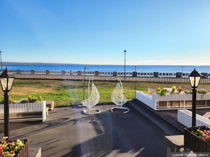 Мышь лабораторная. Карелия. Онега (фото 2)