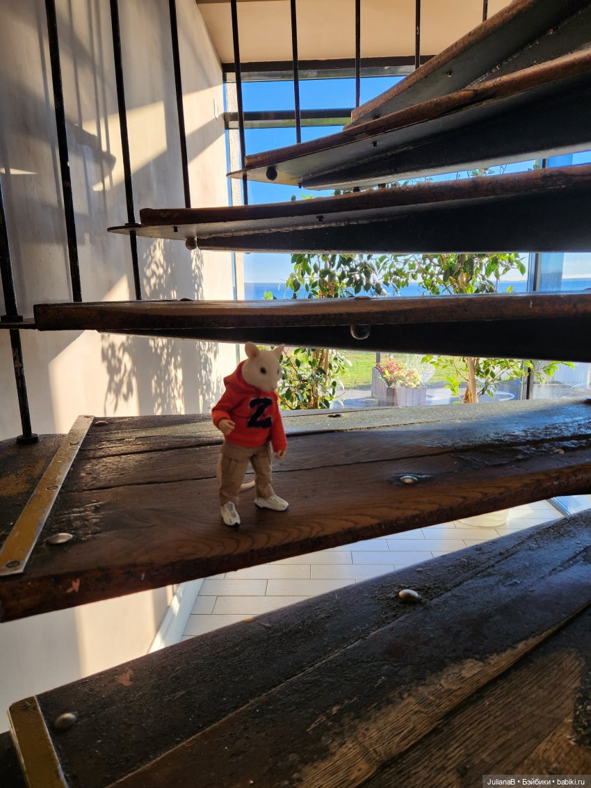 Мышь лабораторная. Карелия. Онега (фото 5)