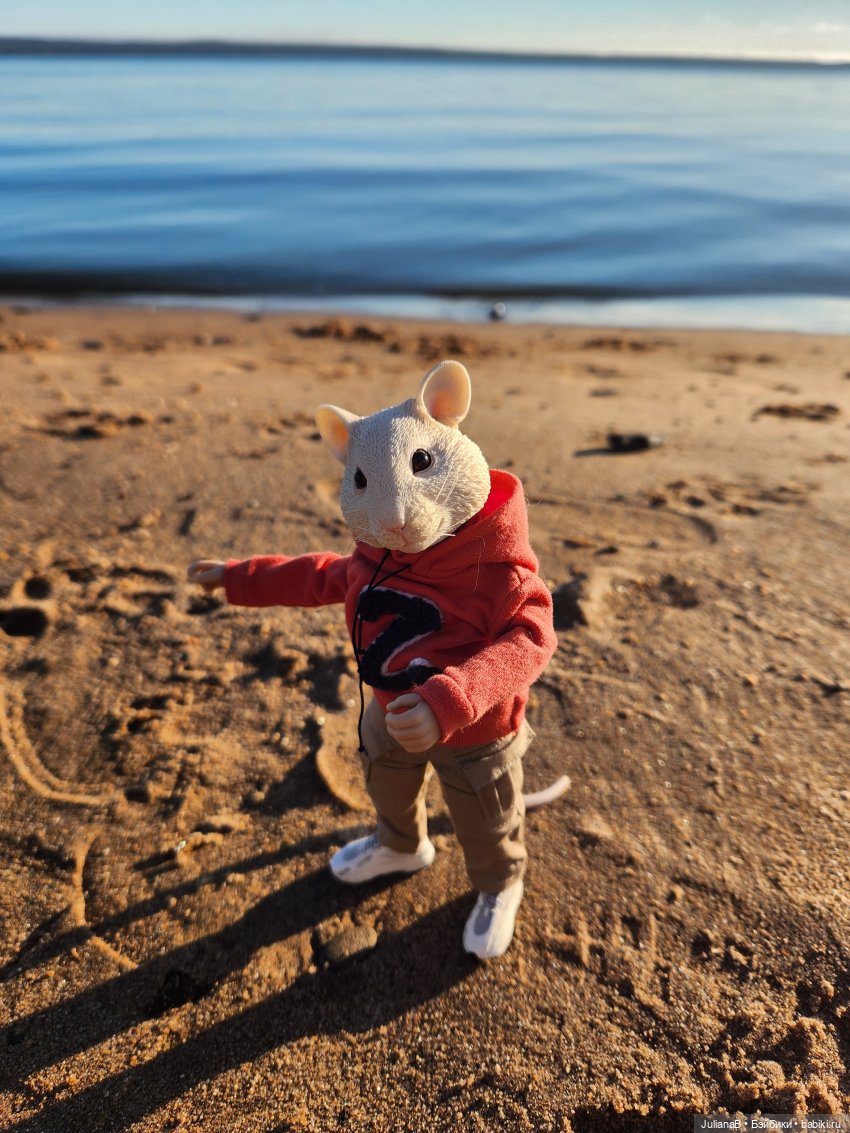 Мышь лабораторная. Карелия. Онега (фото 4)