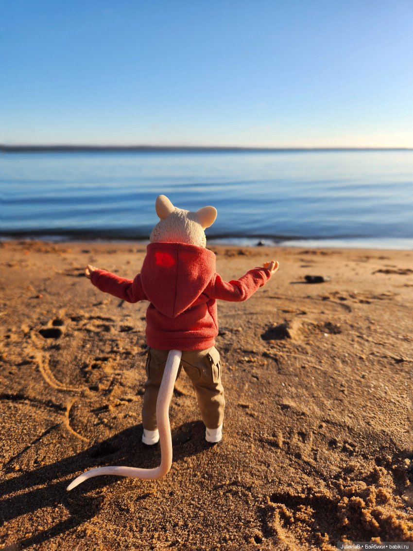 Мышь лабораторная. Карелия. Онега (фото 3)