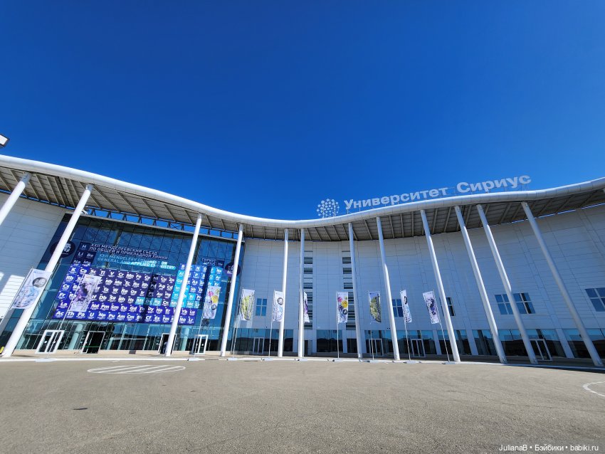 Мышь лабораторная. Сочи, Сириус (фото 6)