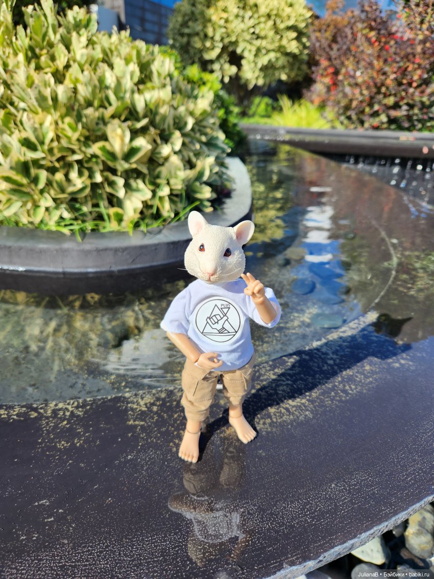 Мышь лабораторная. Сочи, Сириус, прогулка (фото 3)