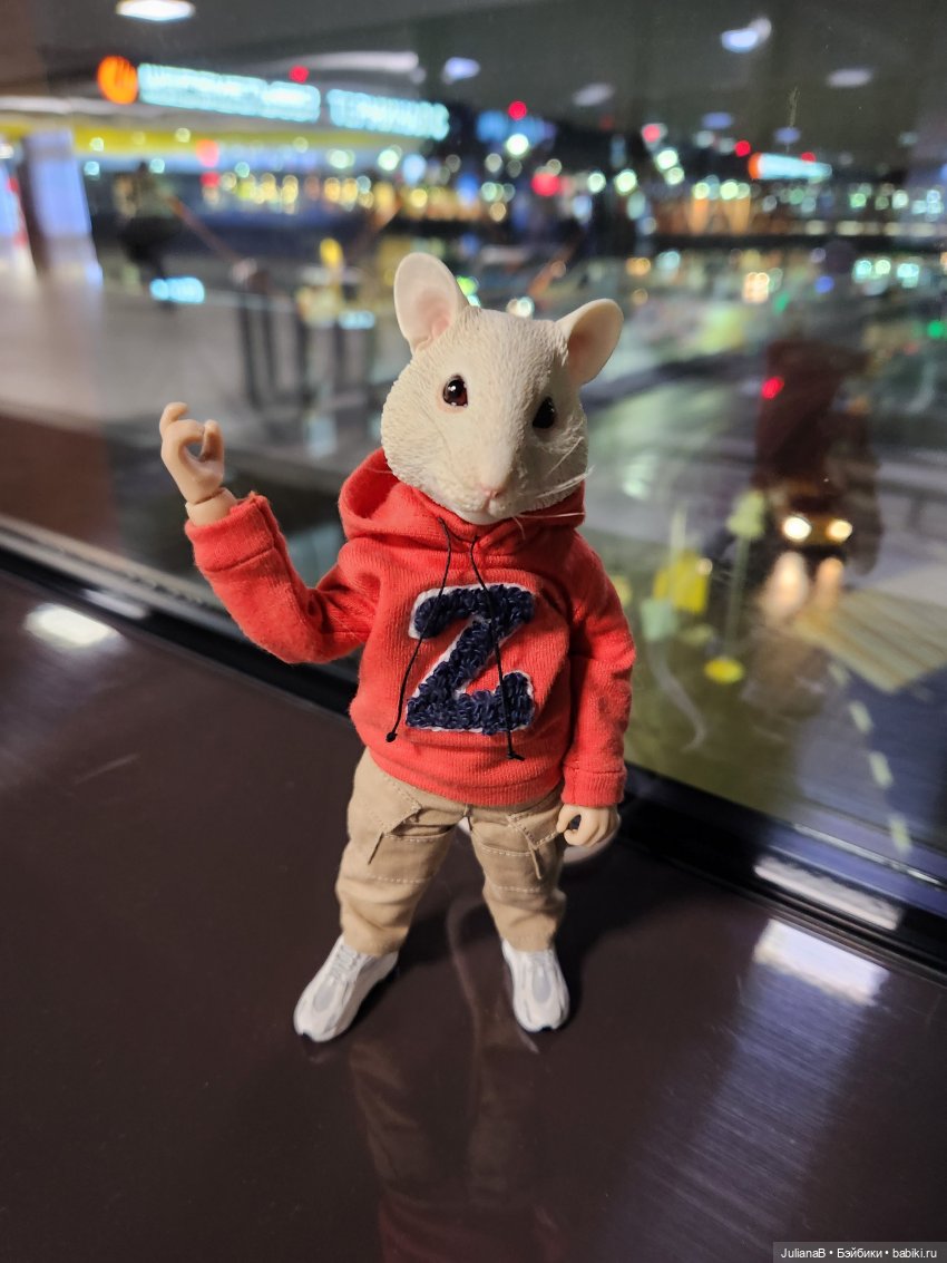 Мышь лабораторная. Сочи, Сириус (фото 2)