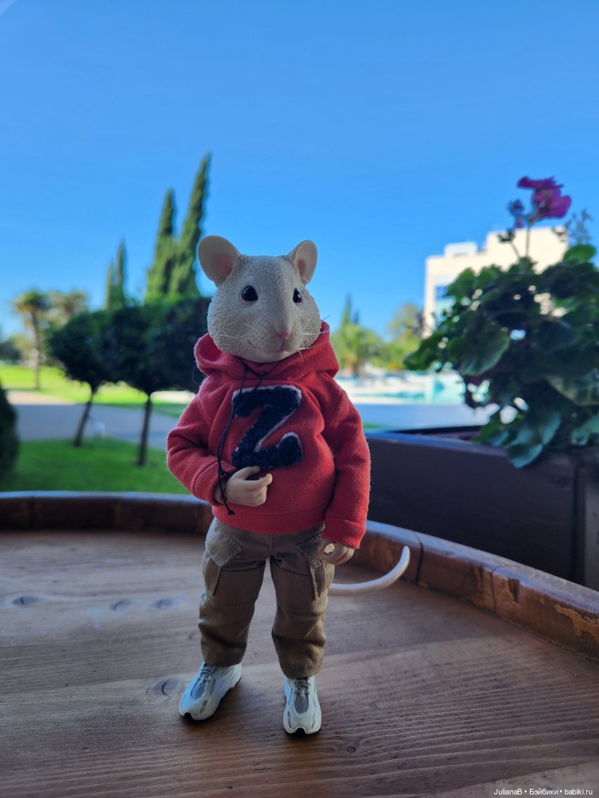 Мышь лабораторная. Сочи, Сириус