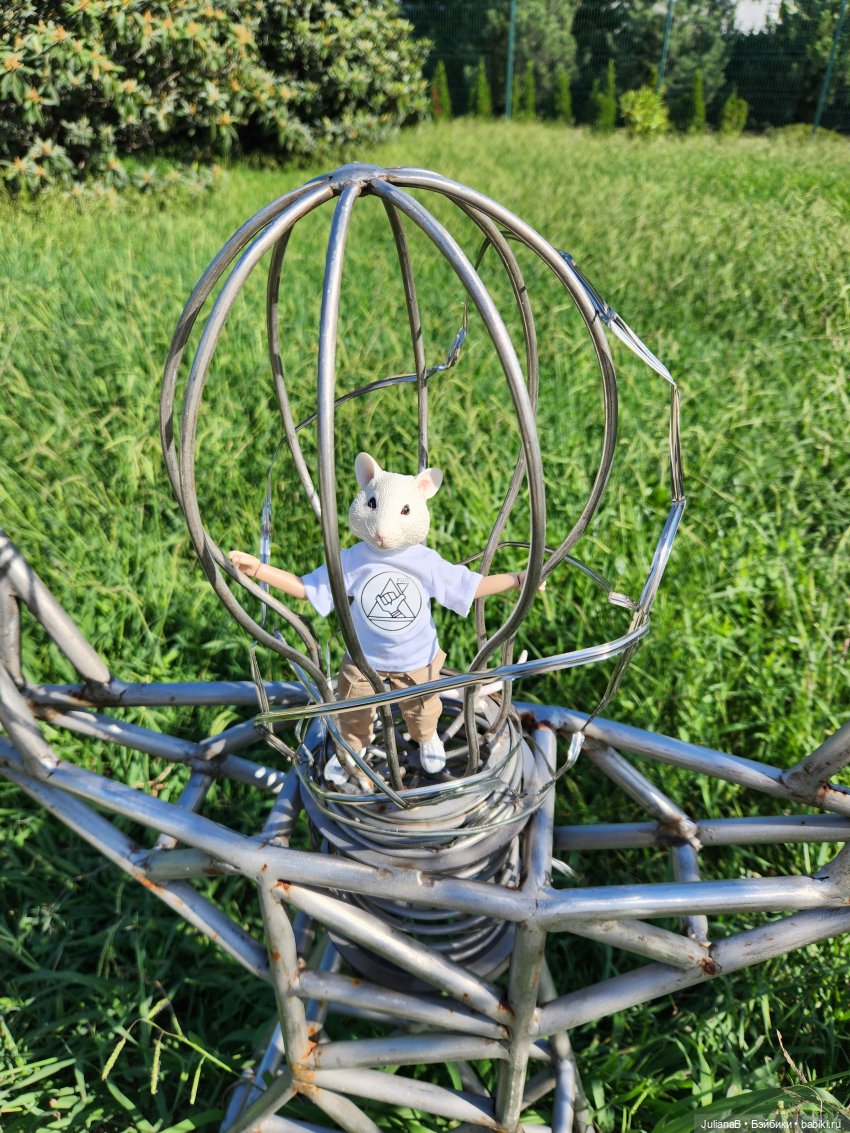 Мышь лабораторная. Сочи, Сириус, прогулка