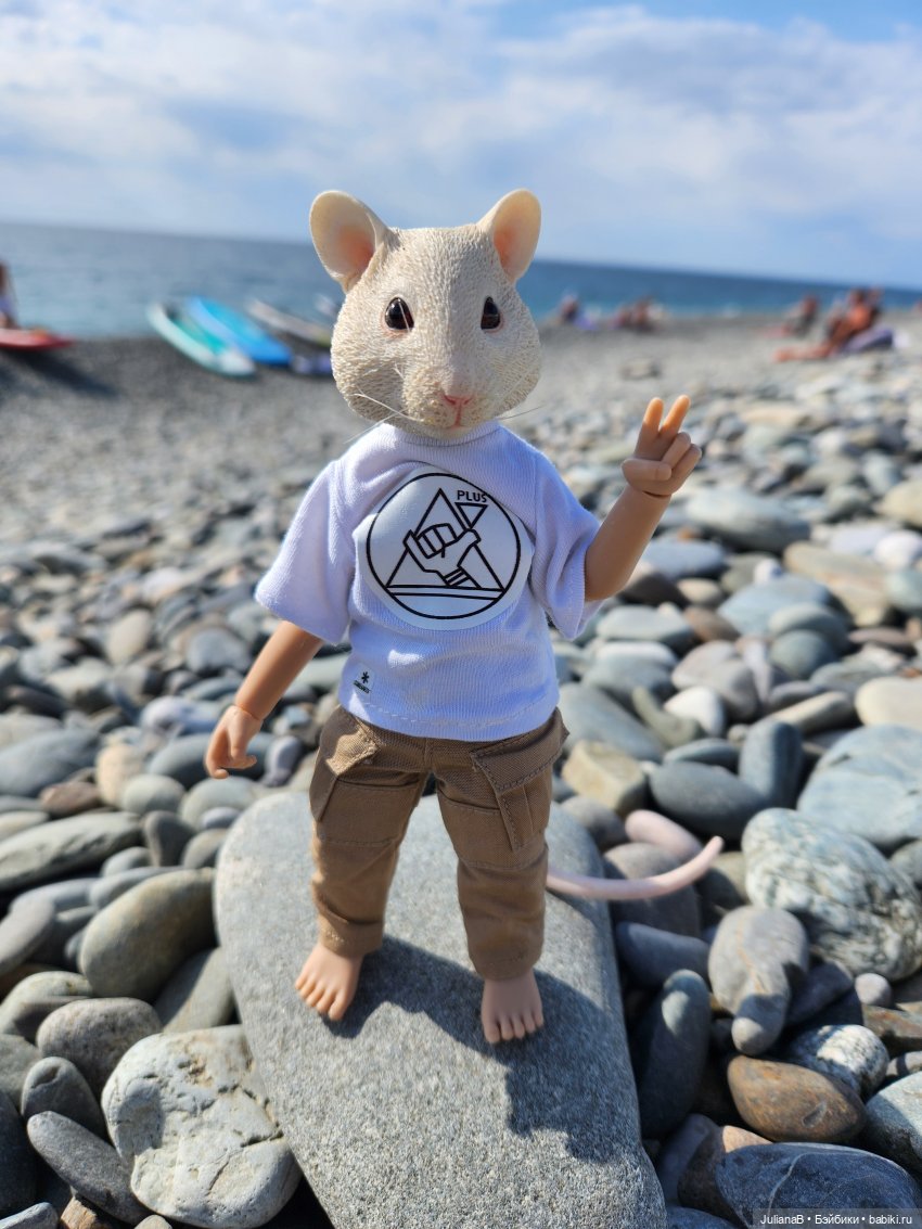 Мышь лабораторная. Сочи, Сириус, прогулка