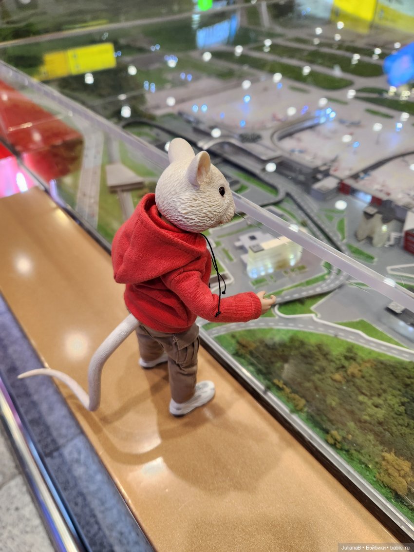 Мышь лабораторная. Сочи, Сириус (фото 3)