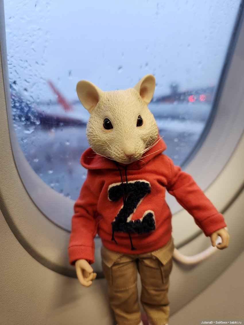 Мышь лабораторная. Сочи, Сириус (фото 4)