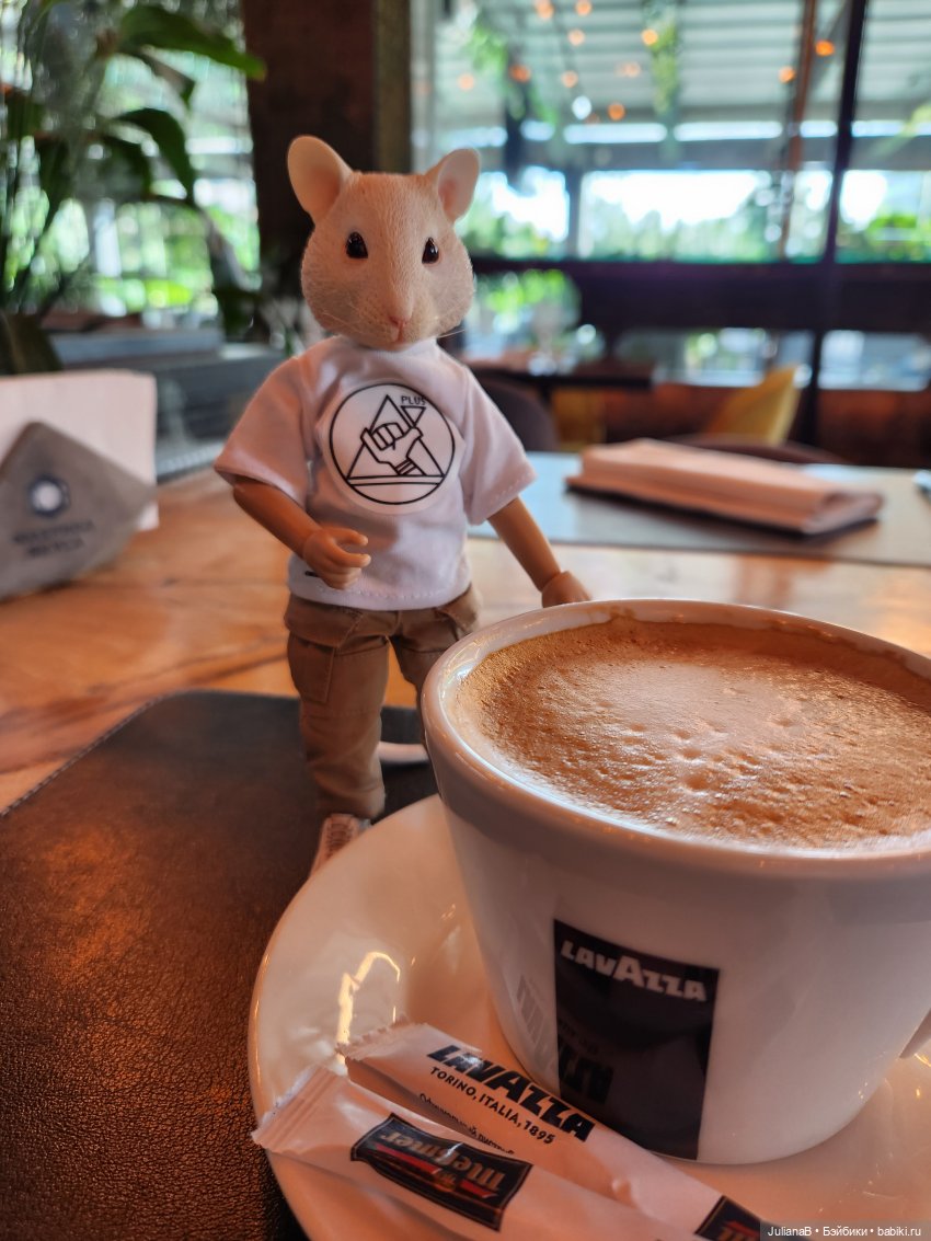 Мышь лабораторная. Сочи, Сириус, прогулка (фото 10)