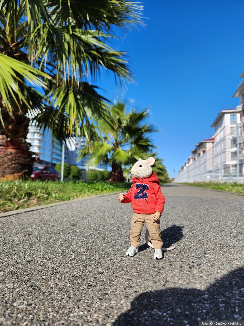 Мышь лабораторная. Сочи, Сириус, прогулка