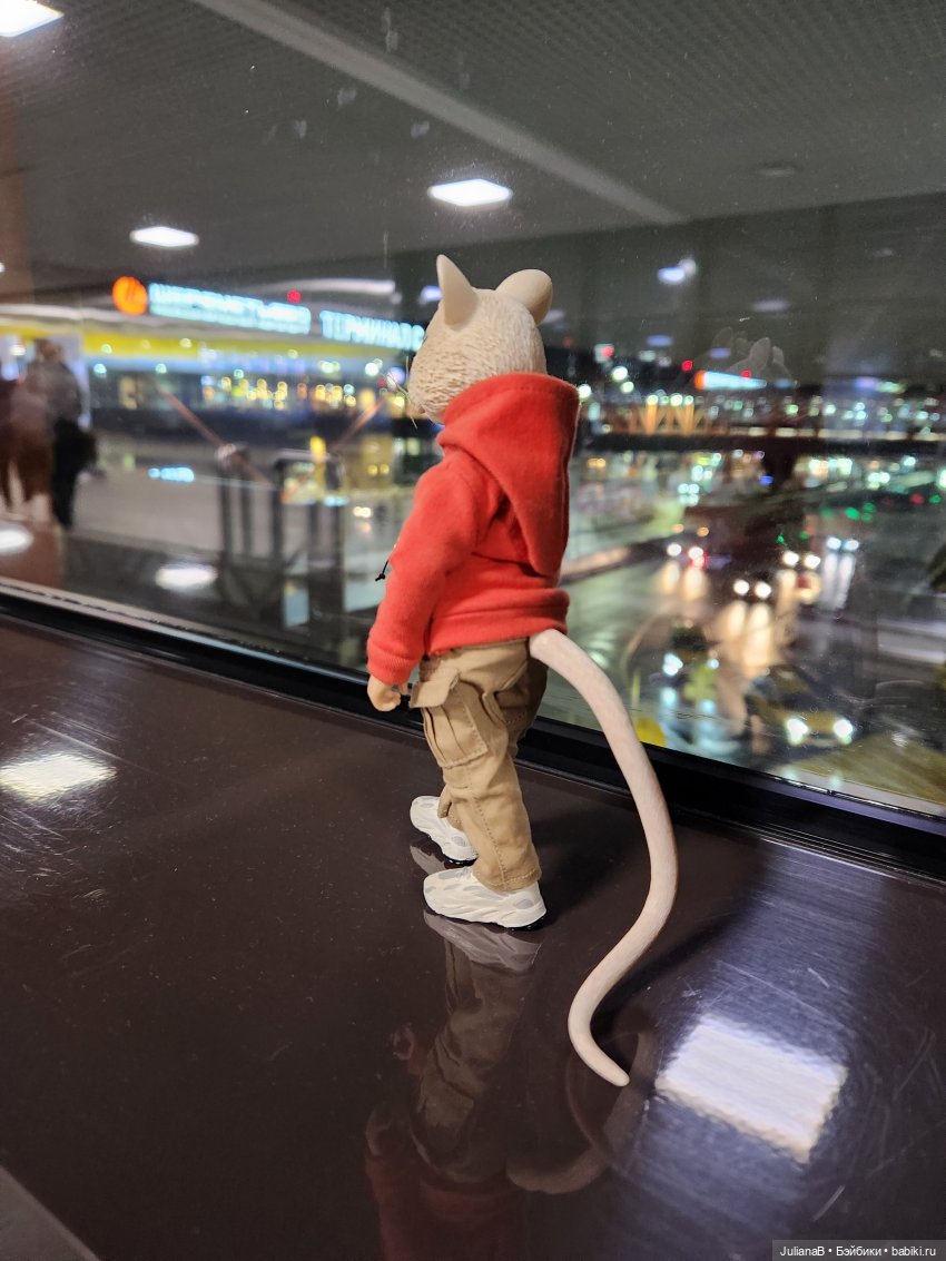 Мышь лабораторная. Сочи, Сириус