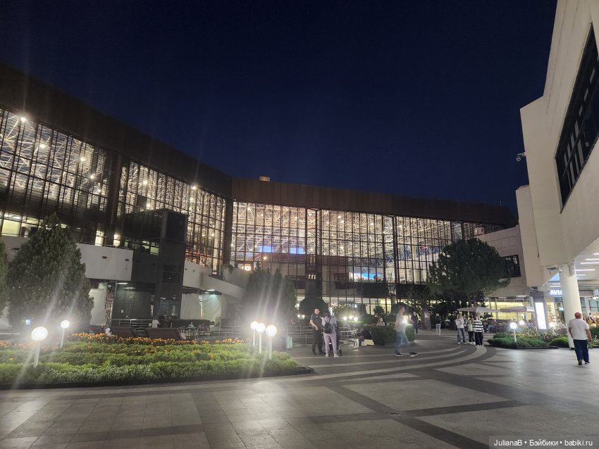 Мышь лабораторная. Сочи, Сириус, прогулка