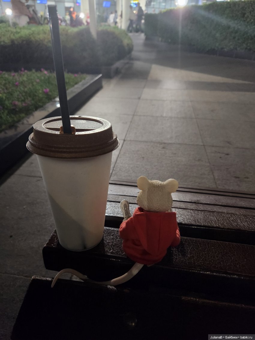 Мышь лабораторная. Сочи, Сириус, прогулка